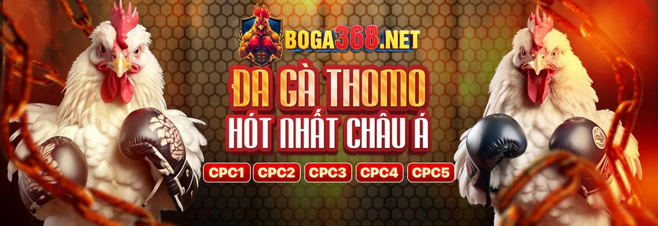Đá gà trực tuyến vipvin win 2026